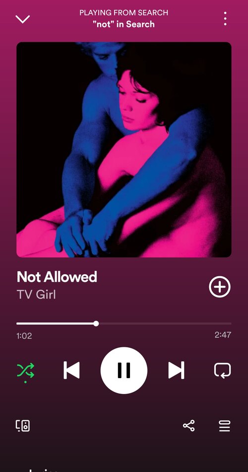 Screenshot 20250711 153434 Spotify