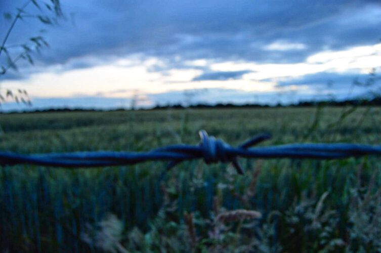 E81662E7-38DC-4C68-8211-EF380656AF40.jpeg