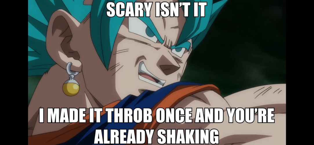IMG_2686.png