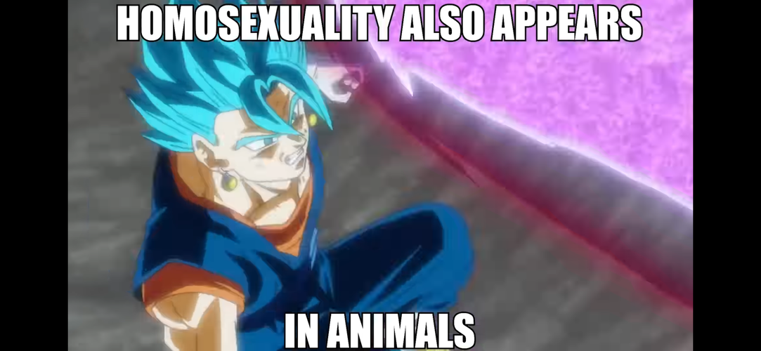 IMG_2698.png