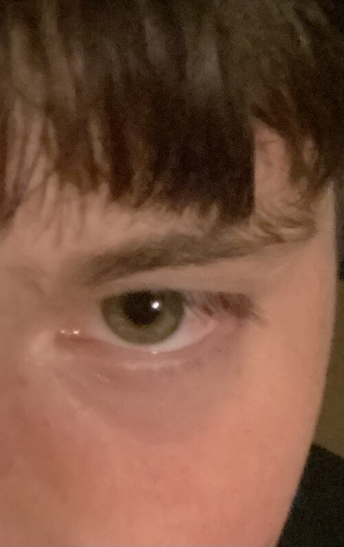 IMG_1623.jpeg