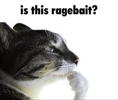 IMG_8284.jpeg