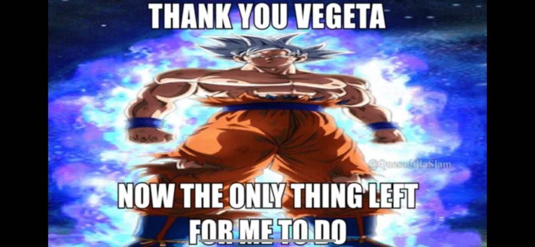 IMG_2864.png
