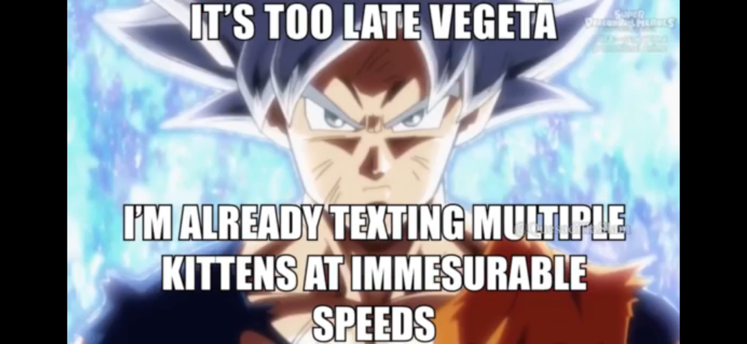 IMG_2866.png