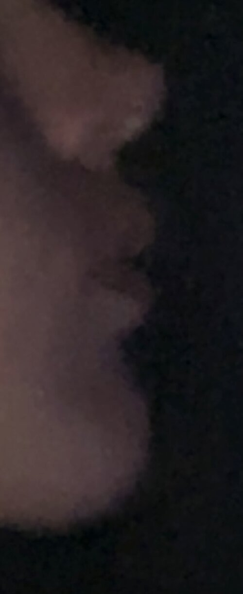 IMG 0455