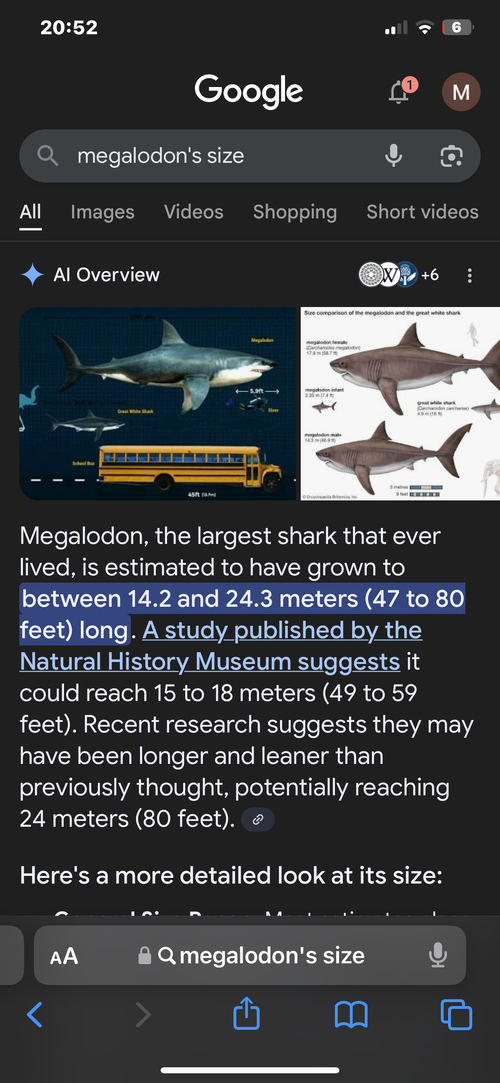 IMG_2902.png