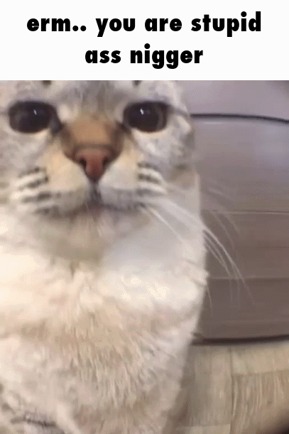 caption_1.gif