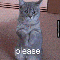 IMG_2302.gif