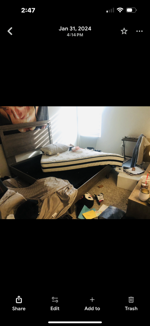 IMG_3212.png