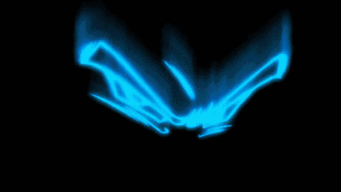 IMG_2294.gif