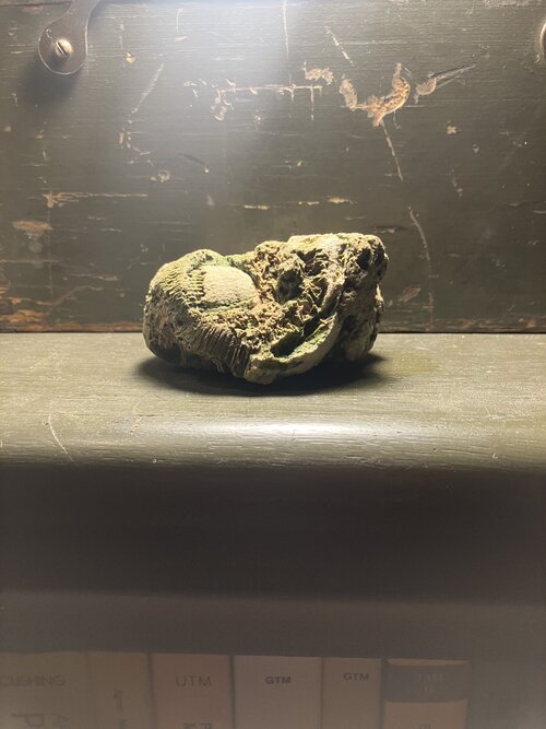 HC1
