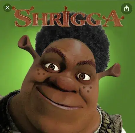 5013308 4841288 IMG 2730