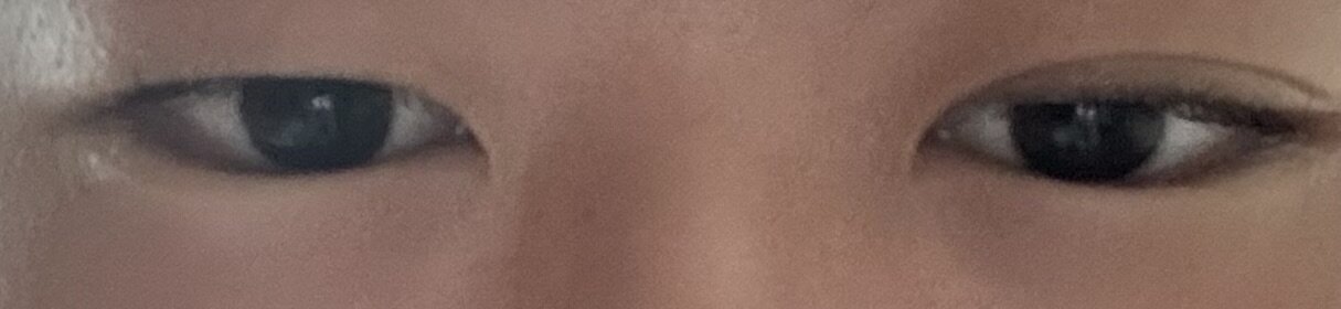 IMG_0210.jpeg