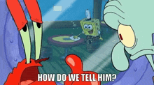 Howdowetellhim spongebob