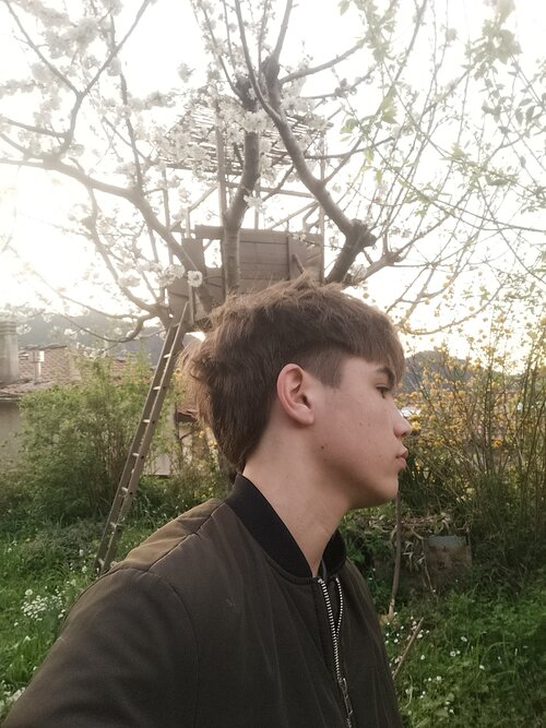 IMG20250404191522.jpg