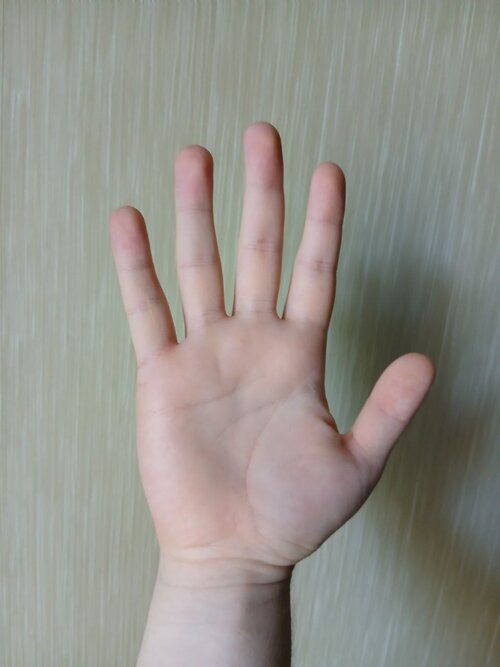 5190718786582474966.jpg