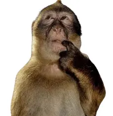 1753253165997.png