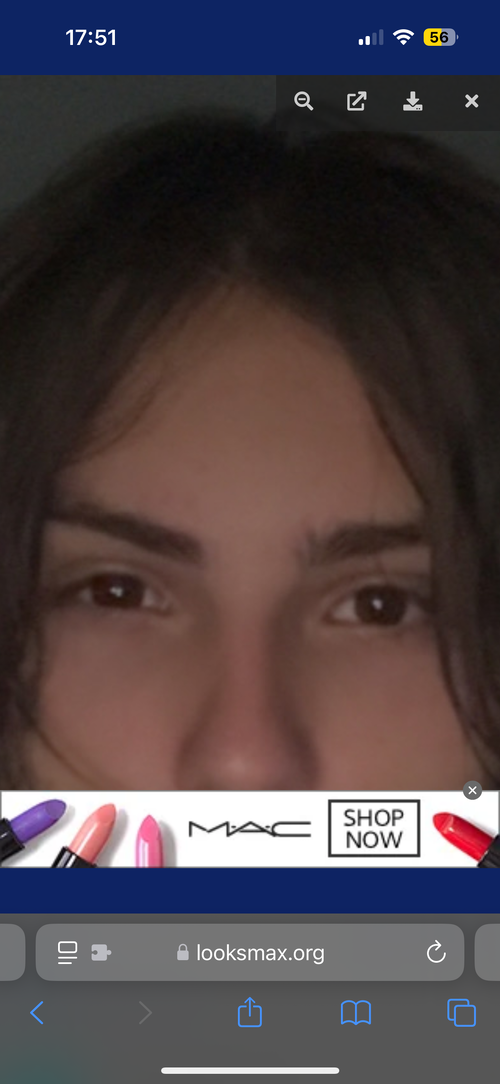 IMG_3038.png