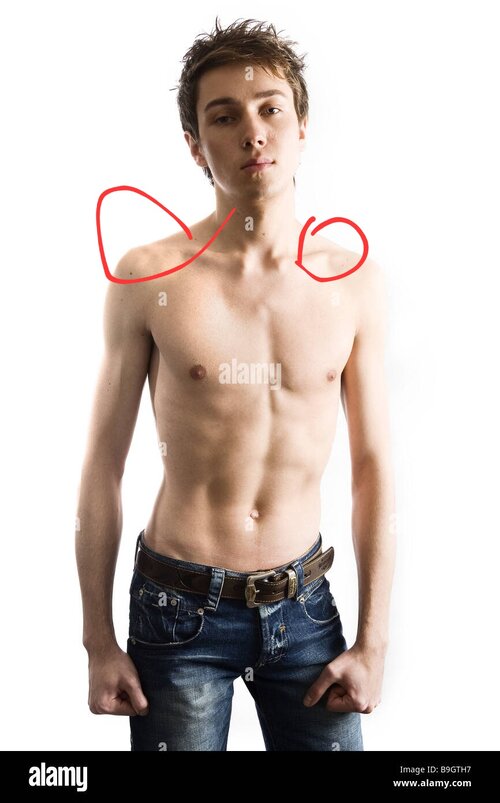 Man young upper body freely seriously detail series people teenager B9GTH7