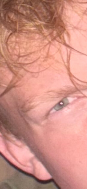 IMG_2961.jpeg