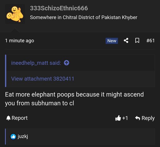 1000032039.jpg