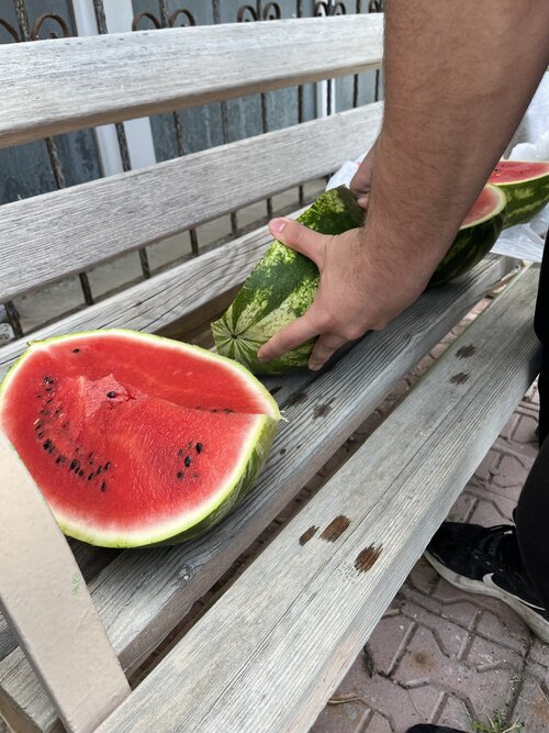 IMG_9069.jpeg