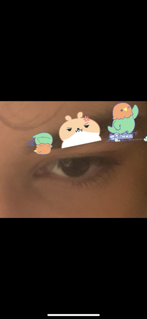 IMG_3043.png