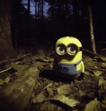 A33D7B3A-0814-4C09-BCBD-03FF7AB33039.png