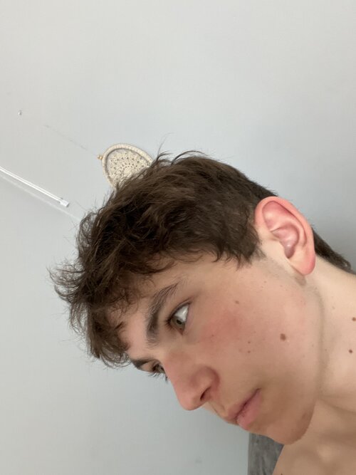 image.jpg