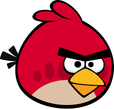 IMG_5346.png