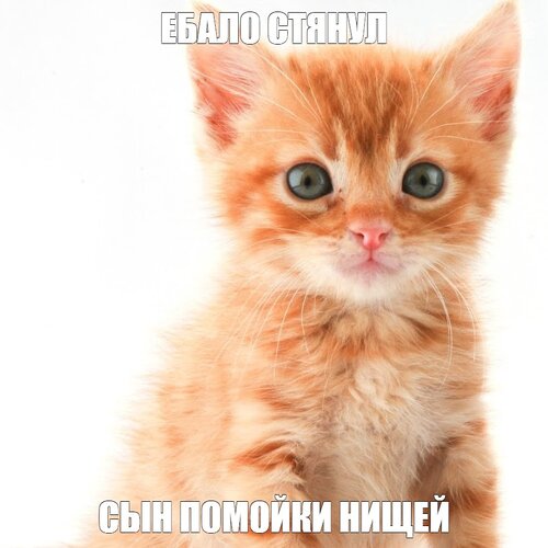IMG_0833.jpeg