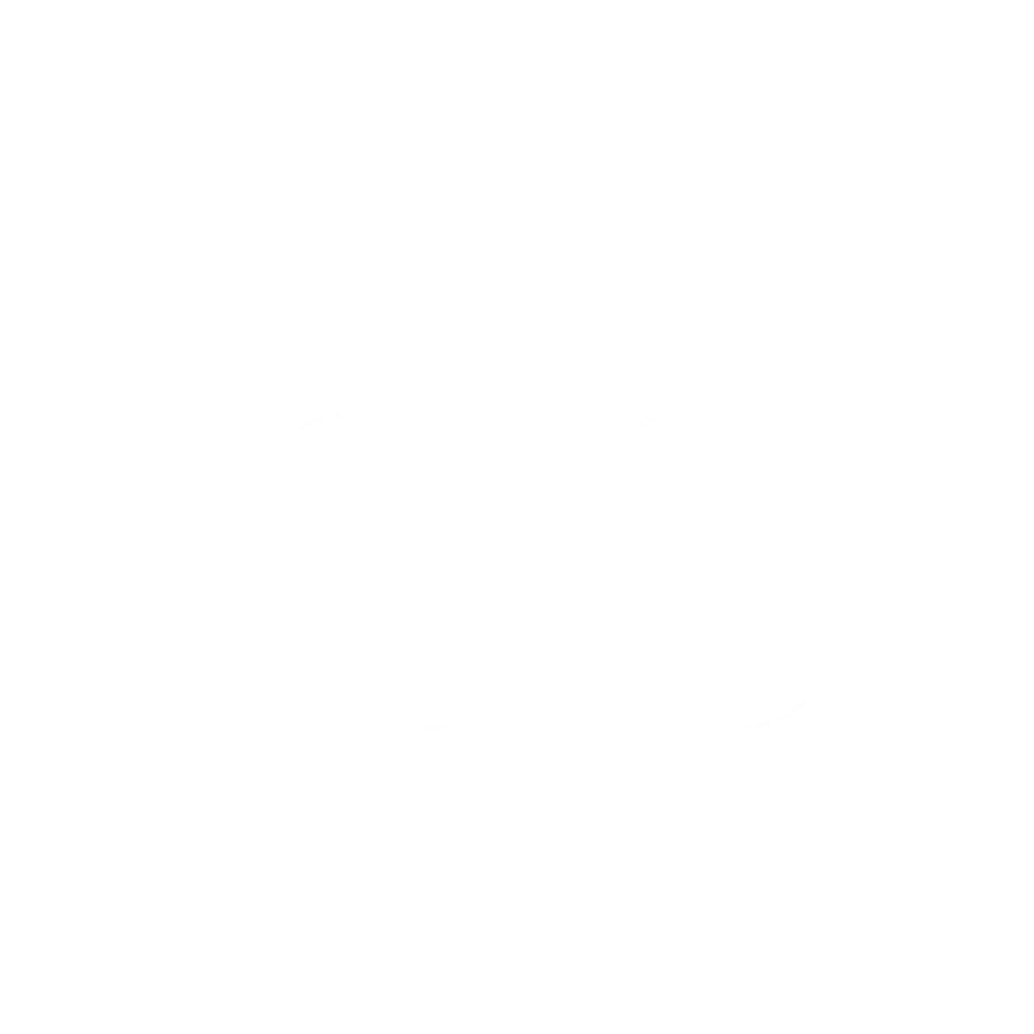 5082605 IMG 4295