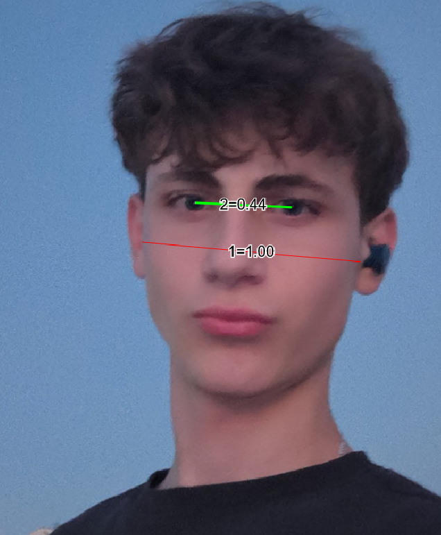 1754041879653