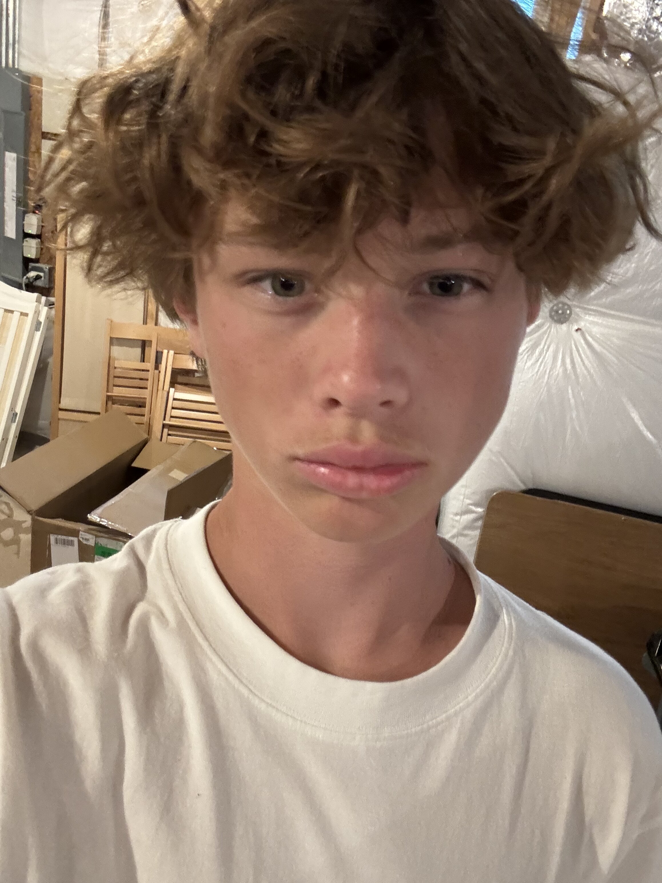 IMG 1922