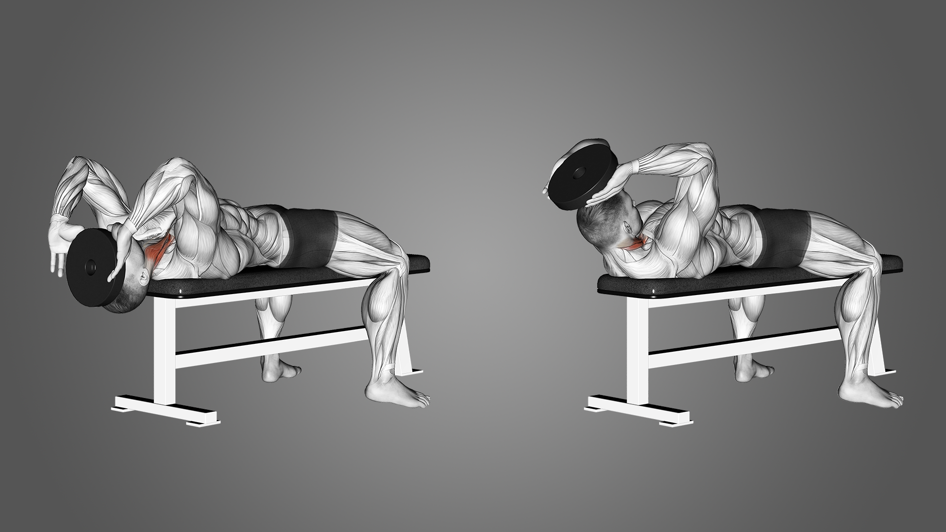 Neck curl exercise overview