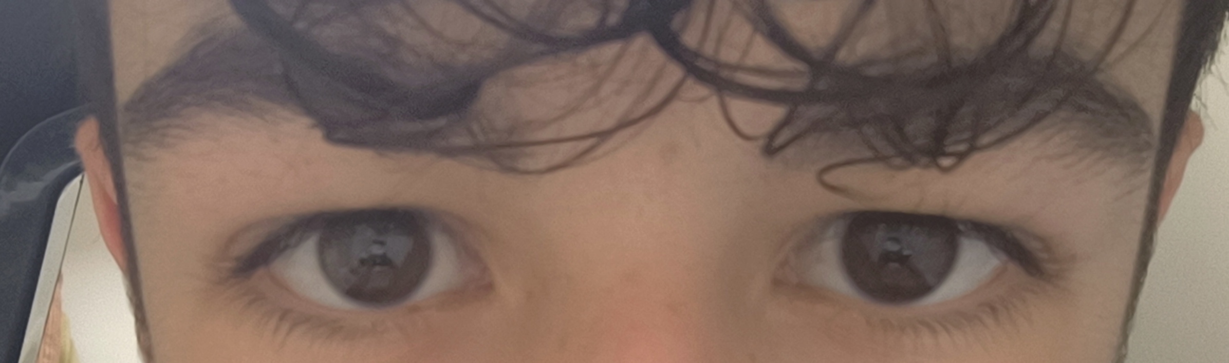IMG 20250802 171525