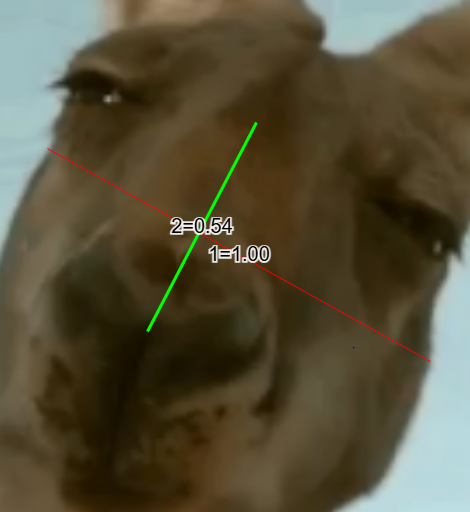 1754149920933