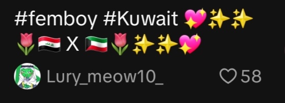 Screenshot 20250804 024750 TikTok Screenshot 20250804 024750 TikTok