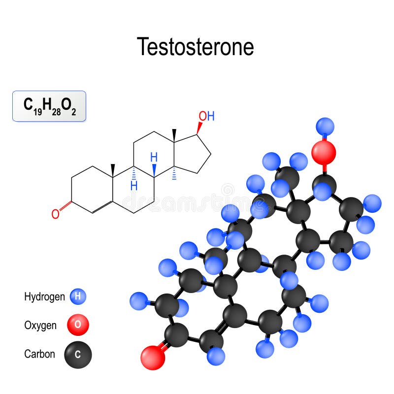 Testosterone structure molecule testosterone primary male sex hormone anabolic steroid structu
