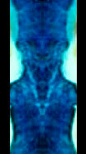1000022886
