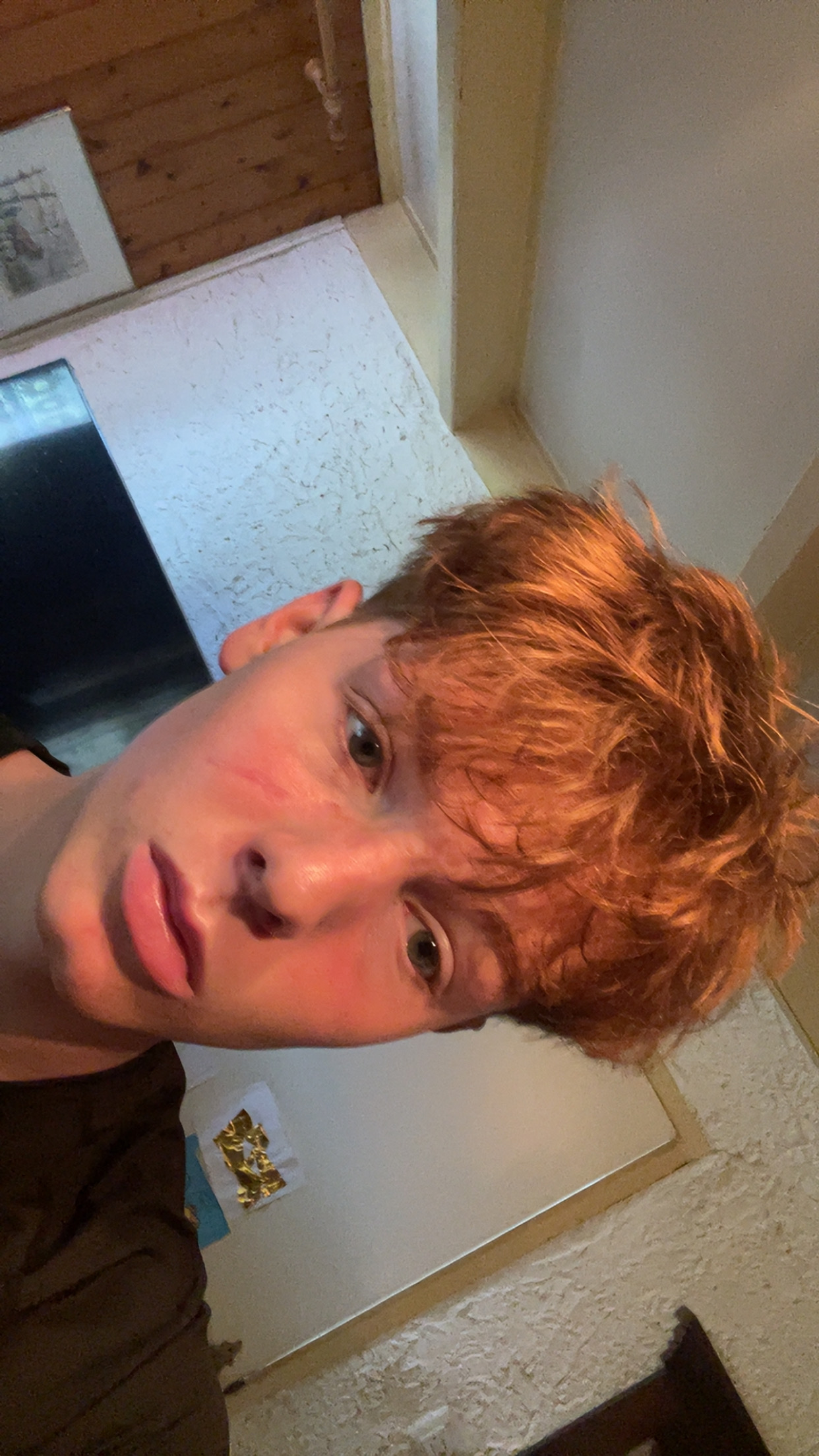 IMG 3492