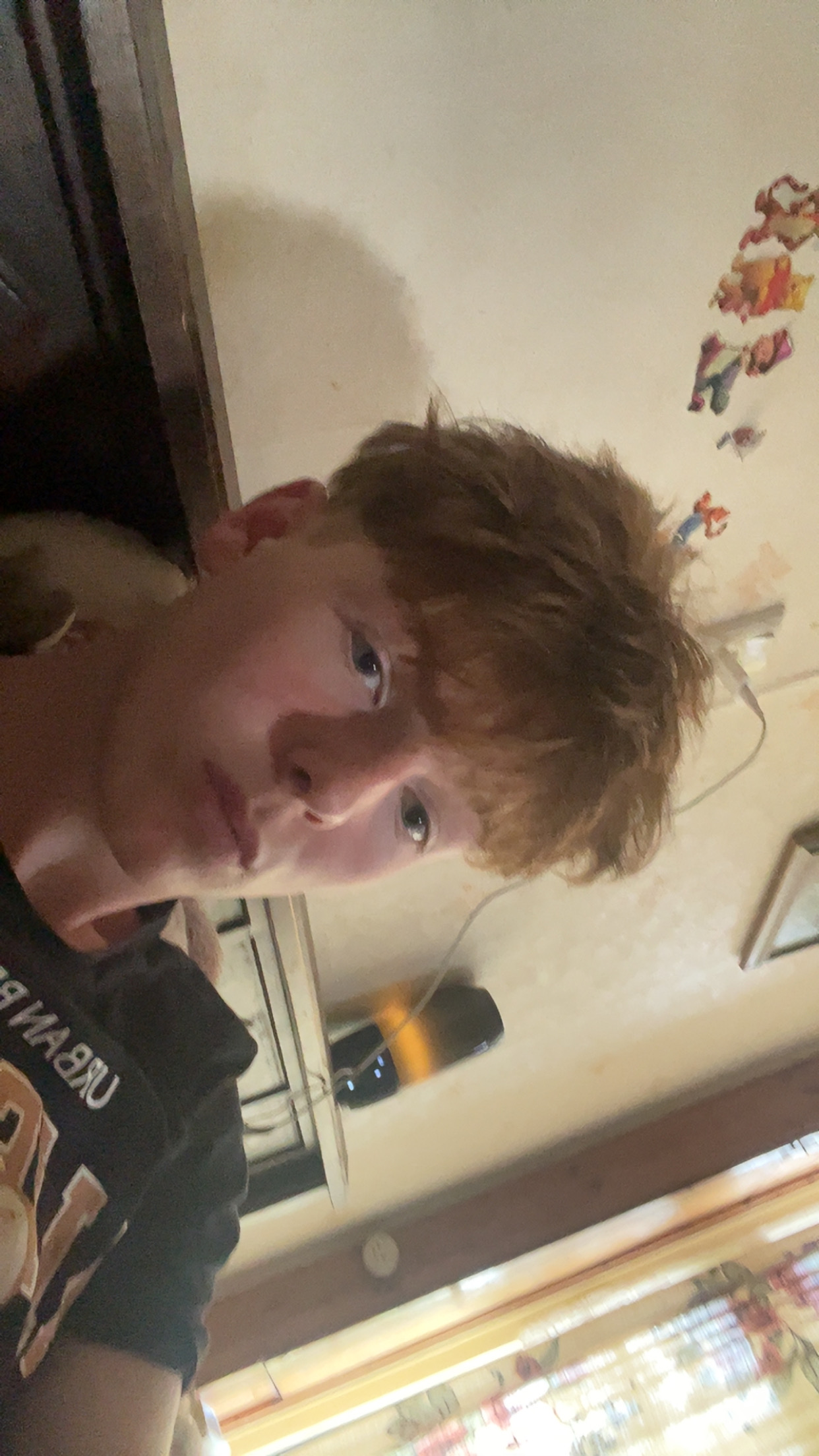 IMG 3469