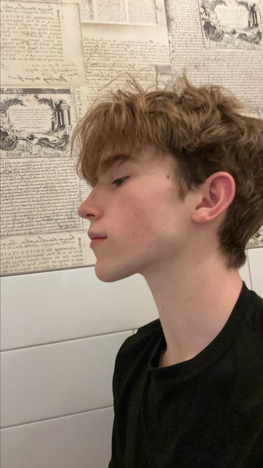 IMG 1241