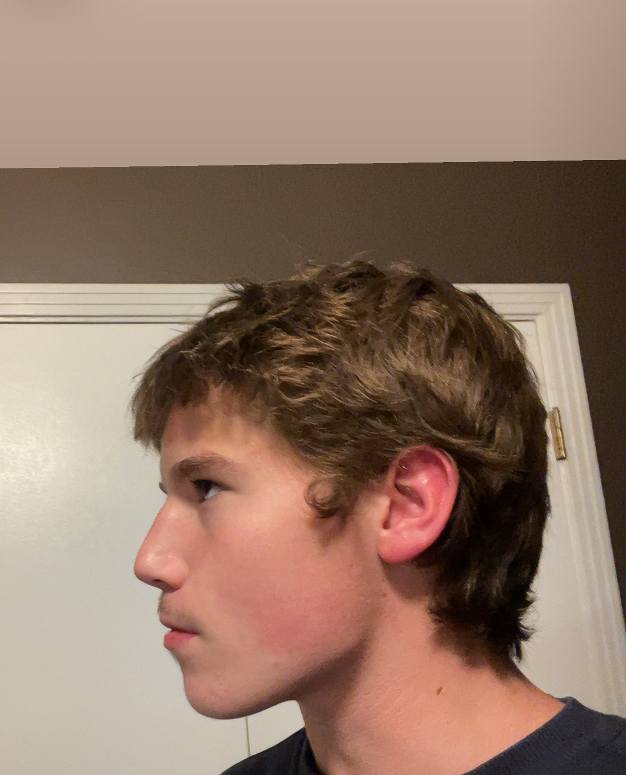 IMG 1364