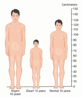 Effefctivly making u shorter 