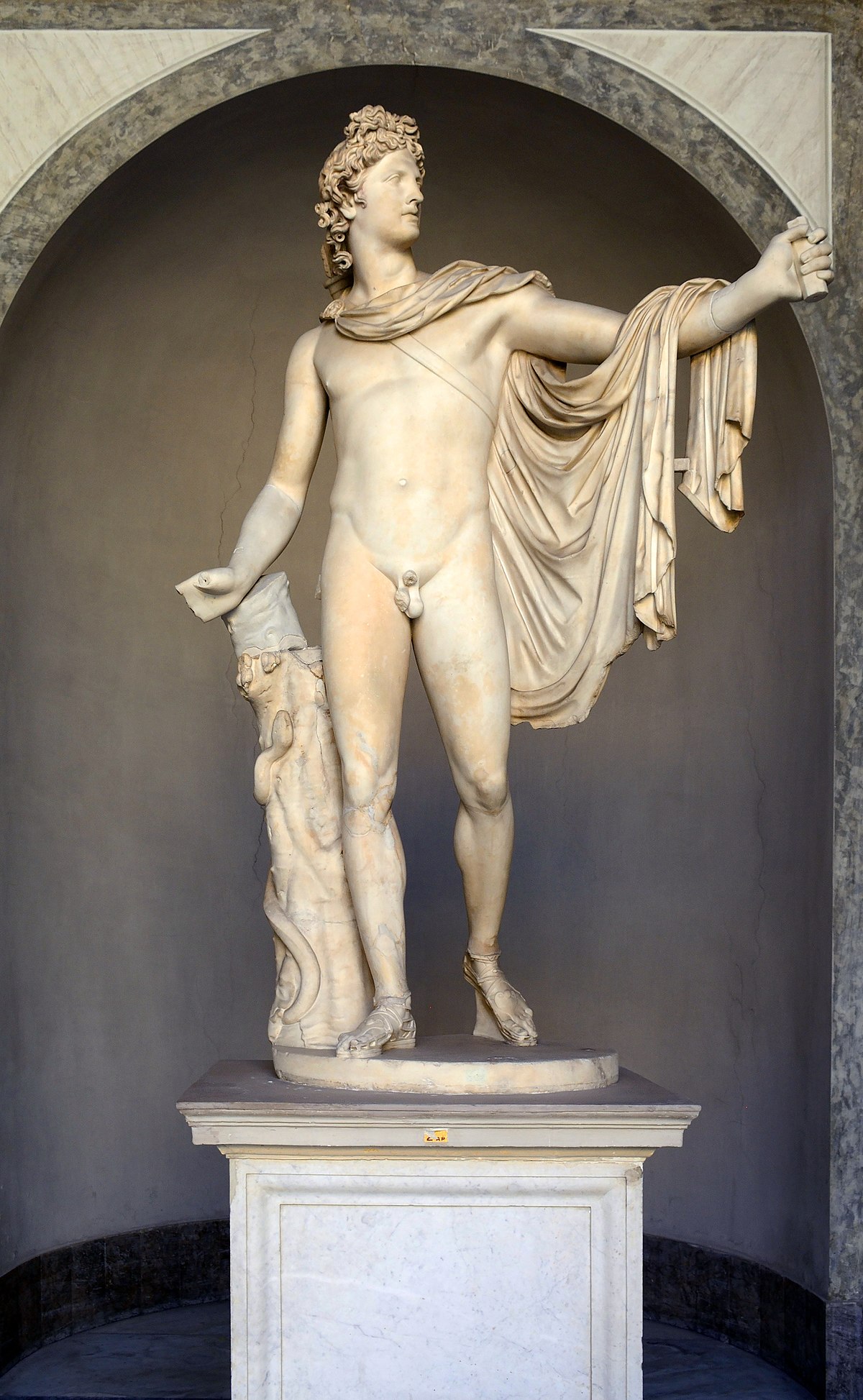 1200px Apollo del Belvedere