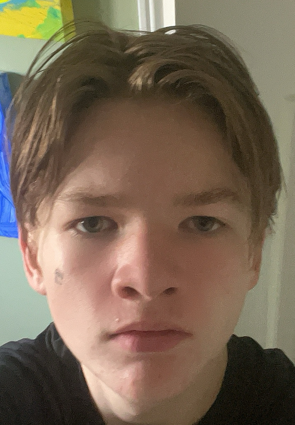 IMG 2994