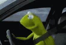Kermit muppets