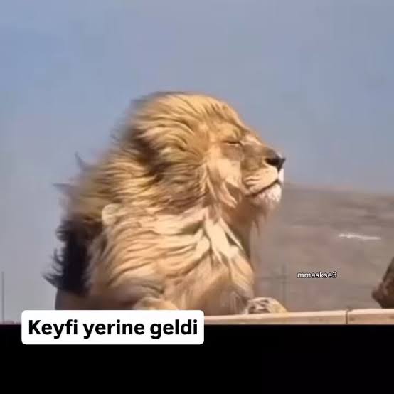 1000021127