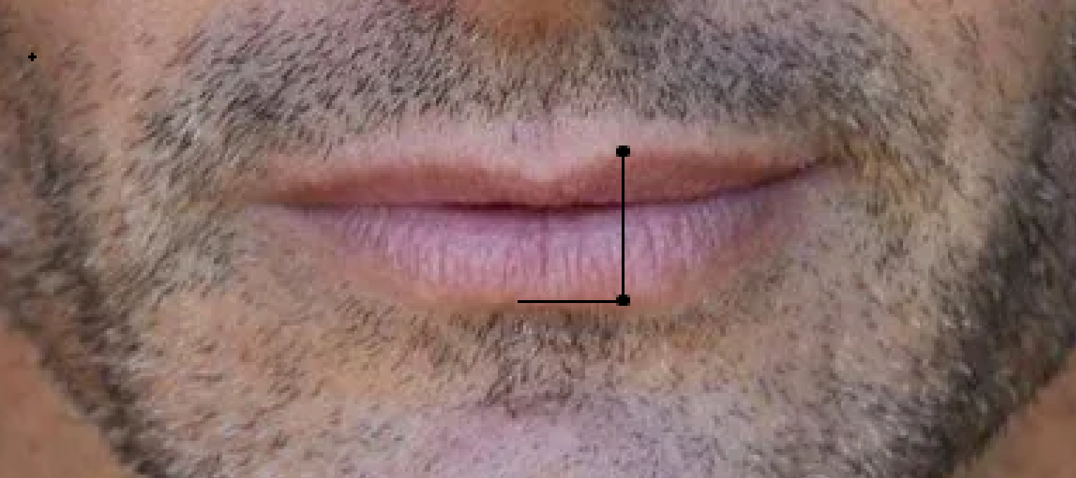 1754858953433